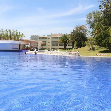 Marachique Mariosilvat *